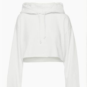 Aritzia Cozy Fleece Cropped Hoodie